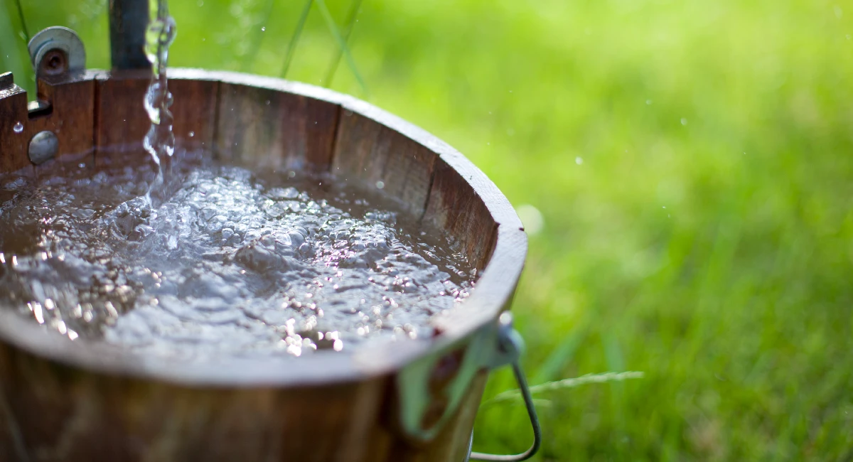 Récupération d'eau de pluie dans fût en bois, citerne à eau