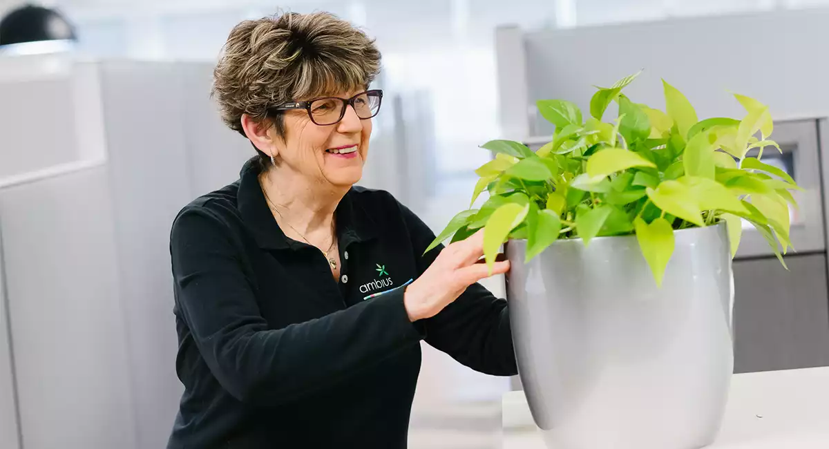 professionnels des plantes d’intérieur