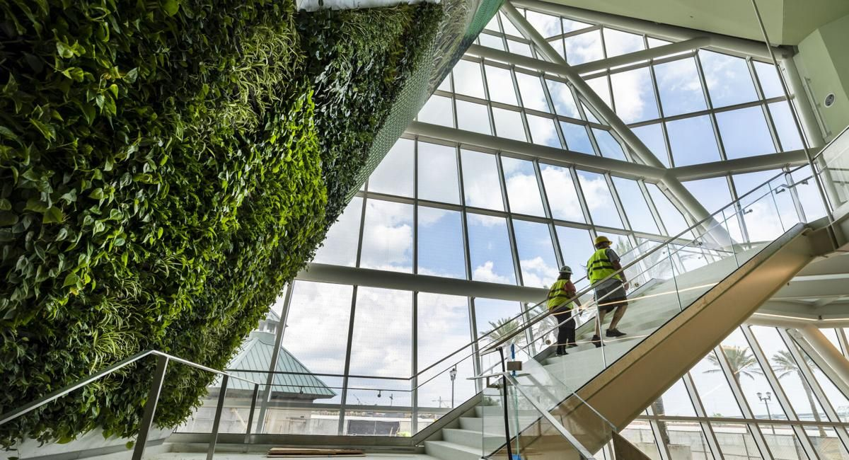 Mur végétal intérieur avec coursive en verre 2