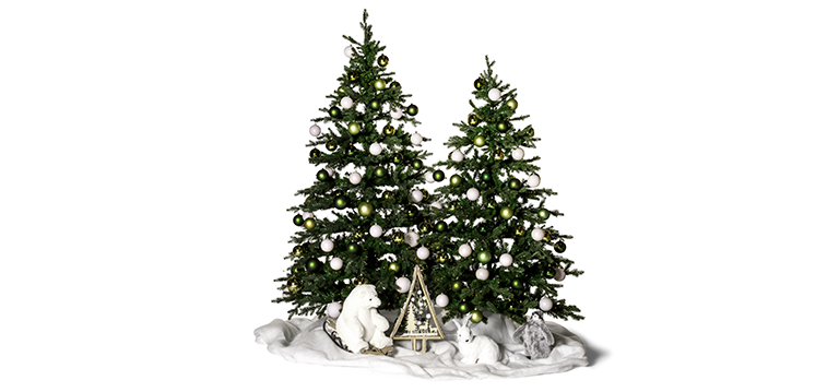 collection Noël 2025