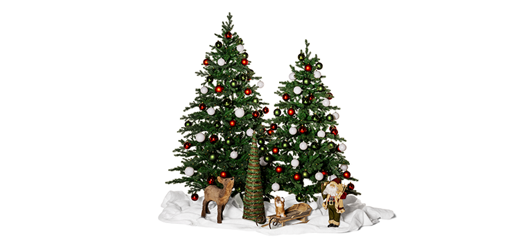 collection Noël 2025