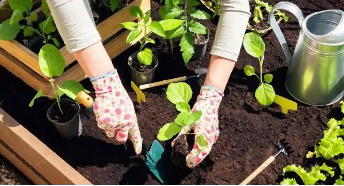 arrosoir et frise de plantes
