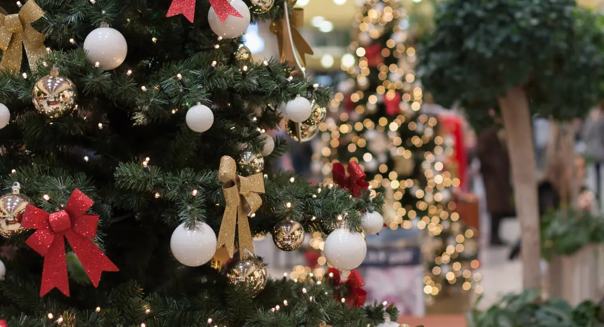 location-sapin-noel-entreprise-france-paris-ecologie