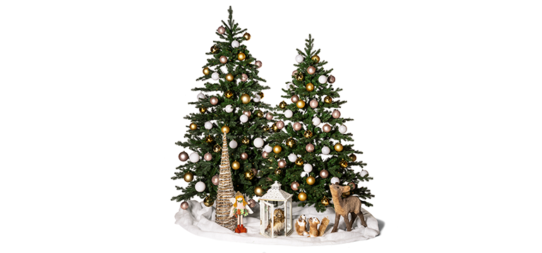 collection Noël 2025