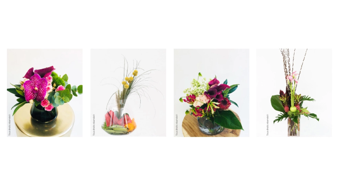 plants