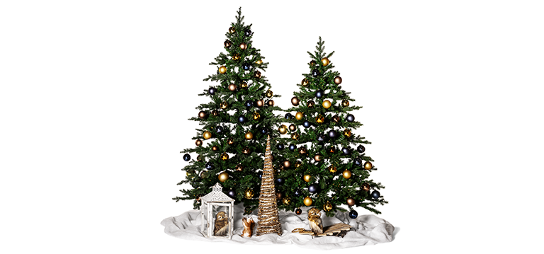 collection Noël 2025