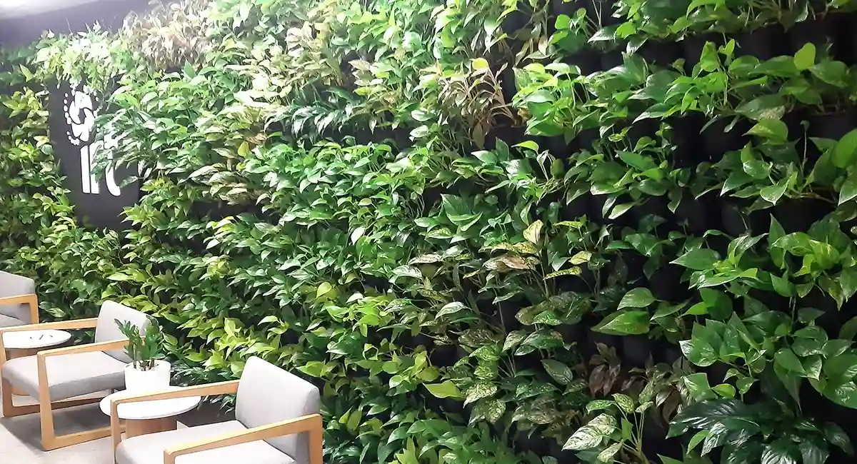 Mur végétal d'intérieur : isolant phonique bénéfique en entreprise