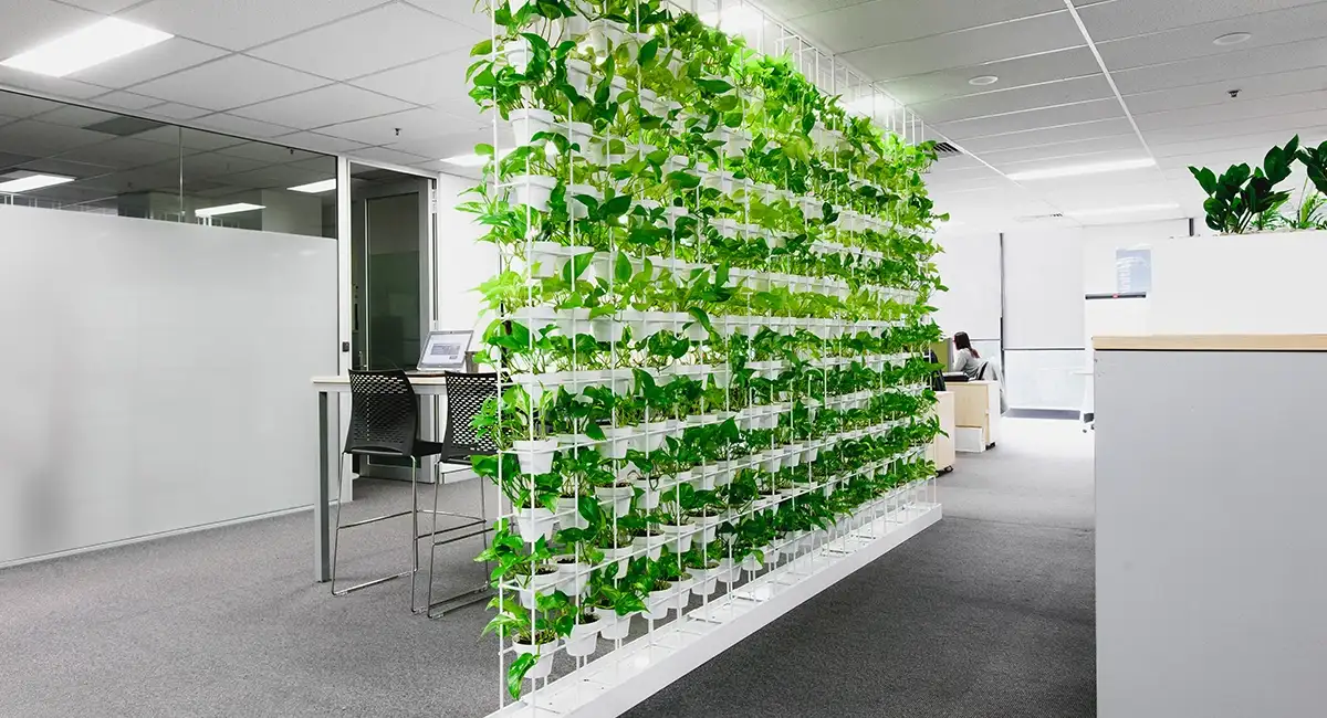 Plante dépolluante de bureau : Améliorer la qualité de l'air en entreprises grâce au Pothos 2