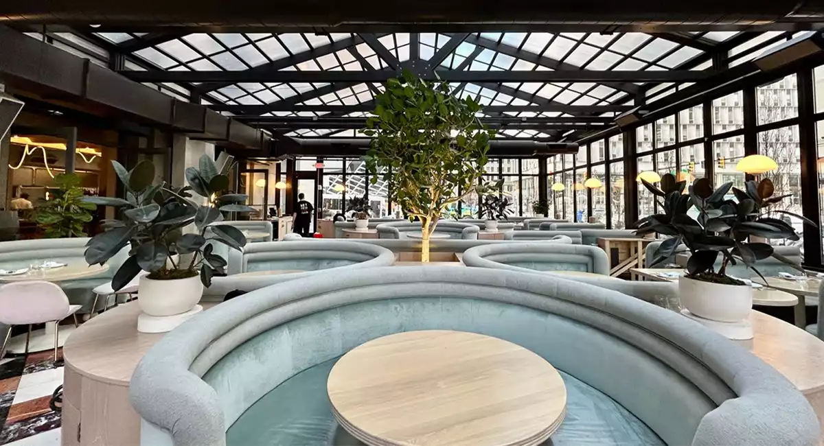 Aménagement paysager d'un roof top avec des oliviers