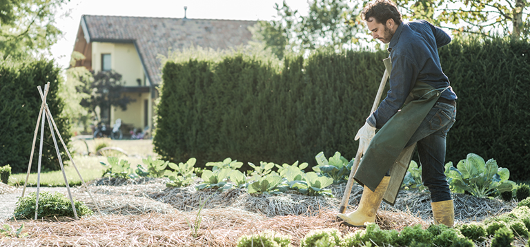 potager changement de saison