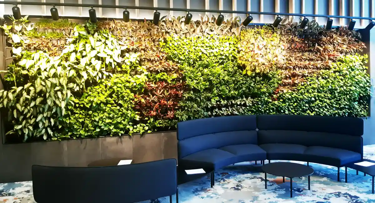 Espace d'accueil avec canapés blancs et mur végétal