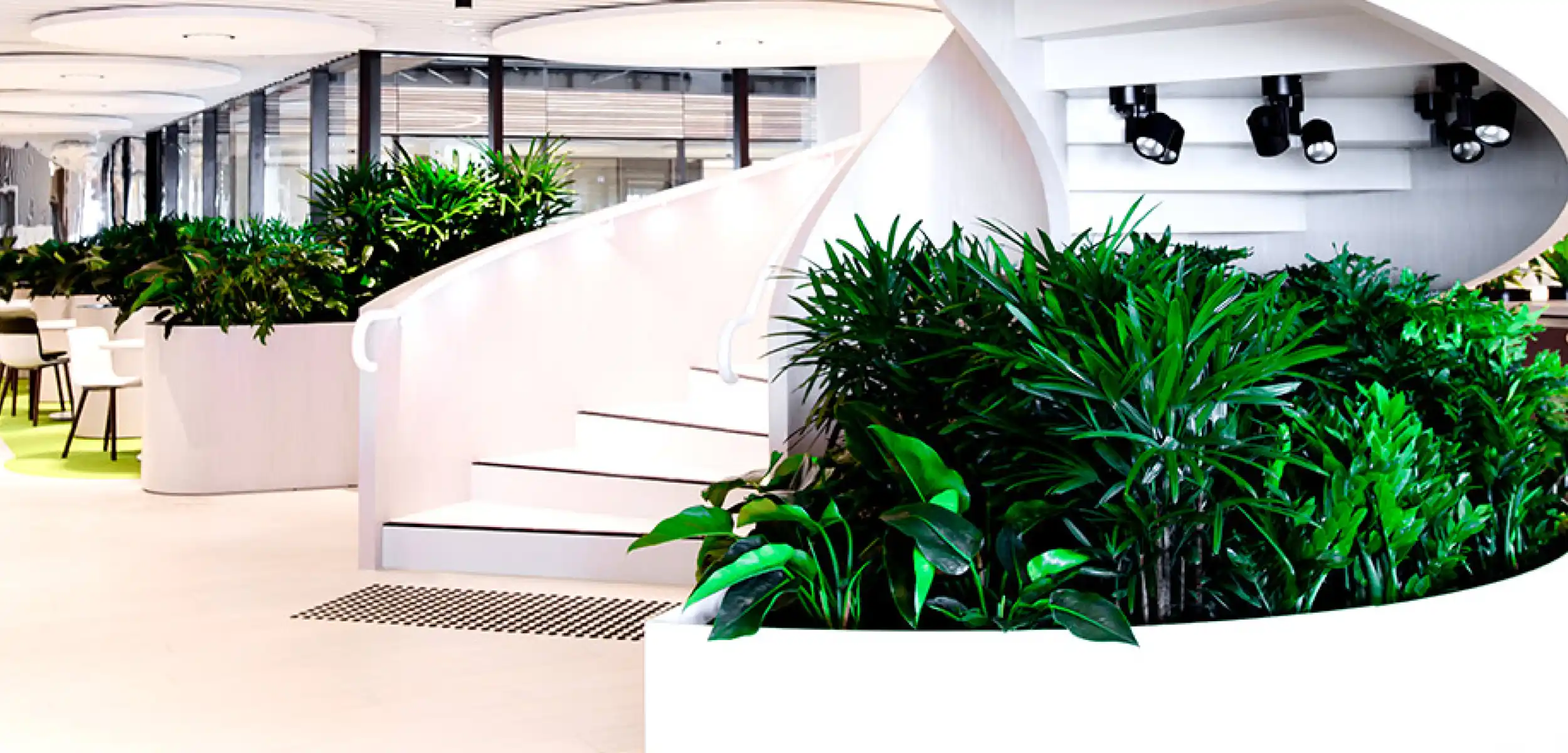 Bienfaits des plantes d'intérieur en entreprise