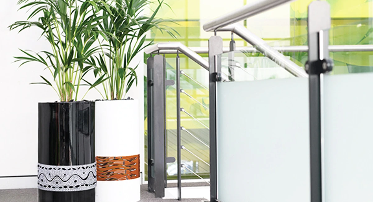 Chamaedorée : humidificateur d'air naturel.