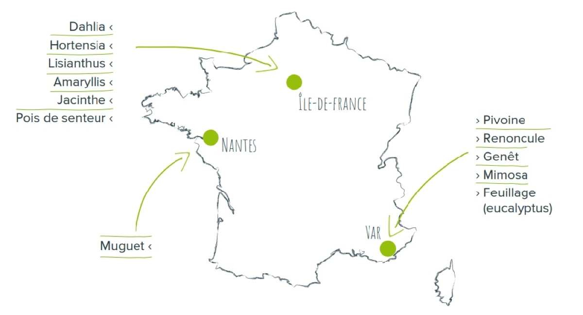 ambius france main offices