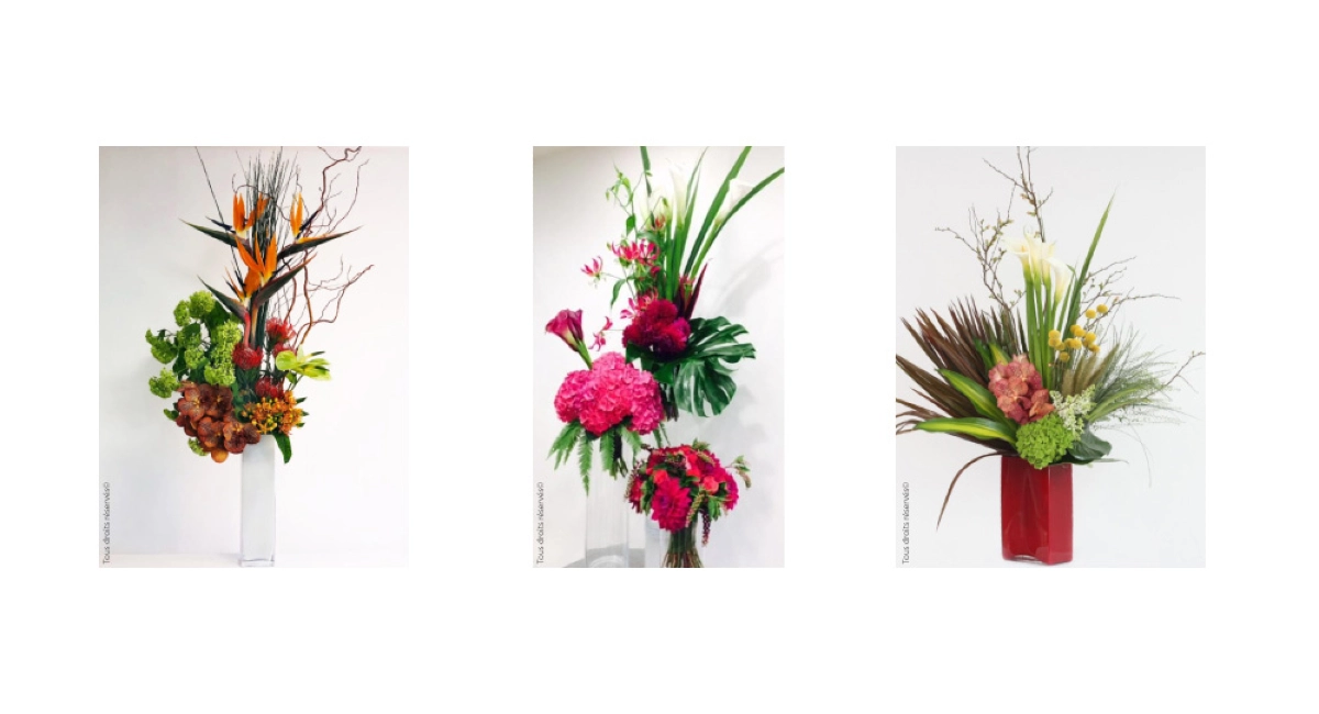 plants