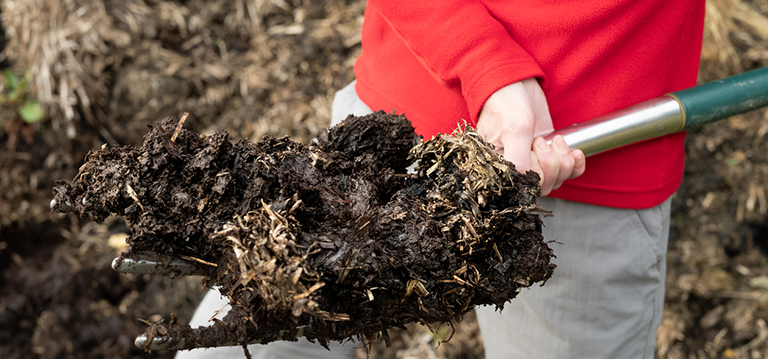 préparer son potager au changement de saison