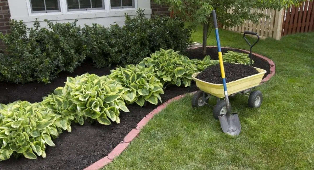 nettoyer son jardin