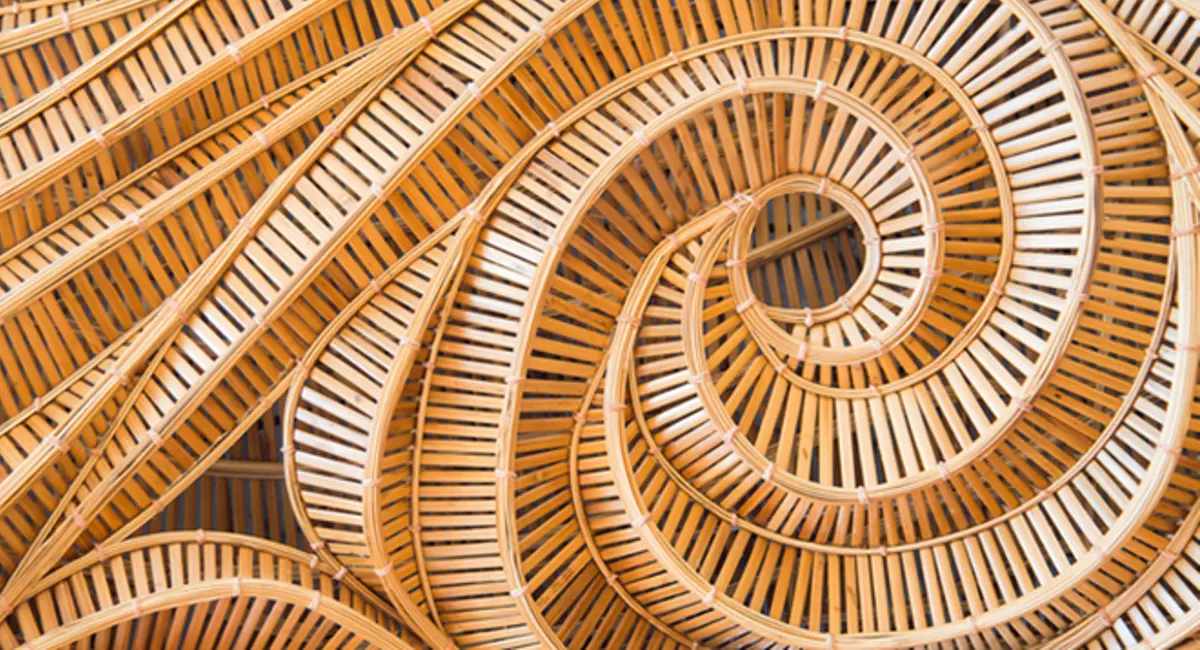 Biophilie : spirale en bambou