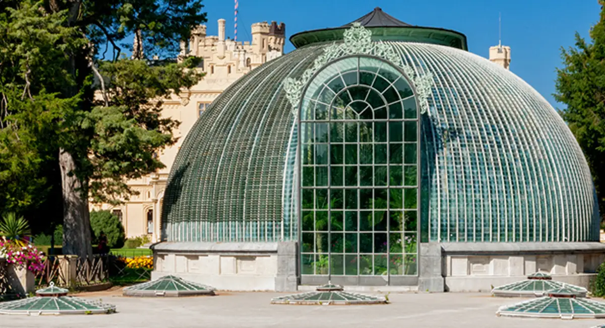 L'histoire des plantes d'intérieur serre 