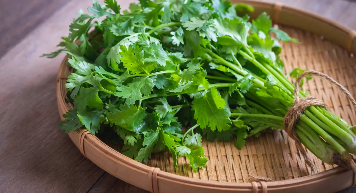 herbes aromatiques