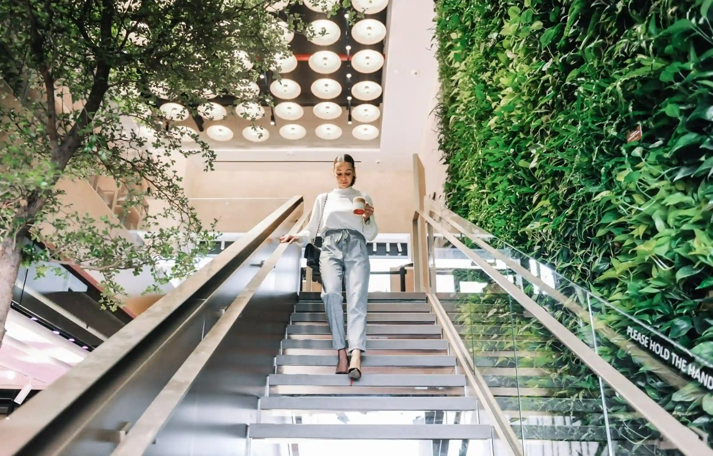 Biophilie au travail
