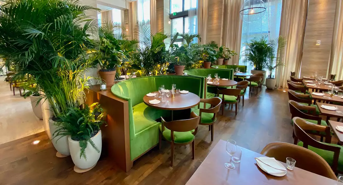 Courbe Google Trends recherche "plantes d'intérieur" sur les 5 dernières années