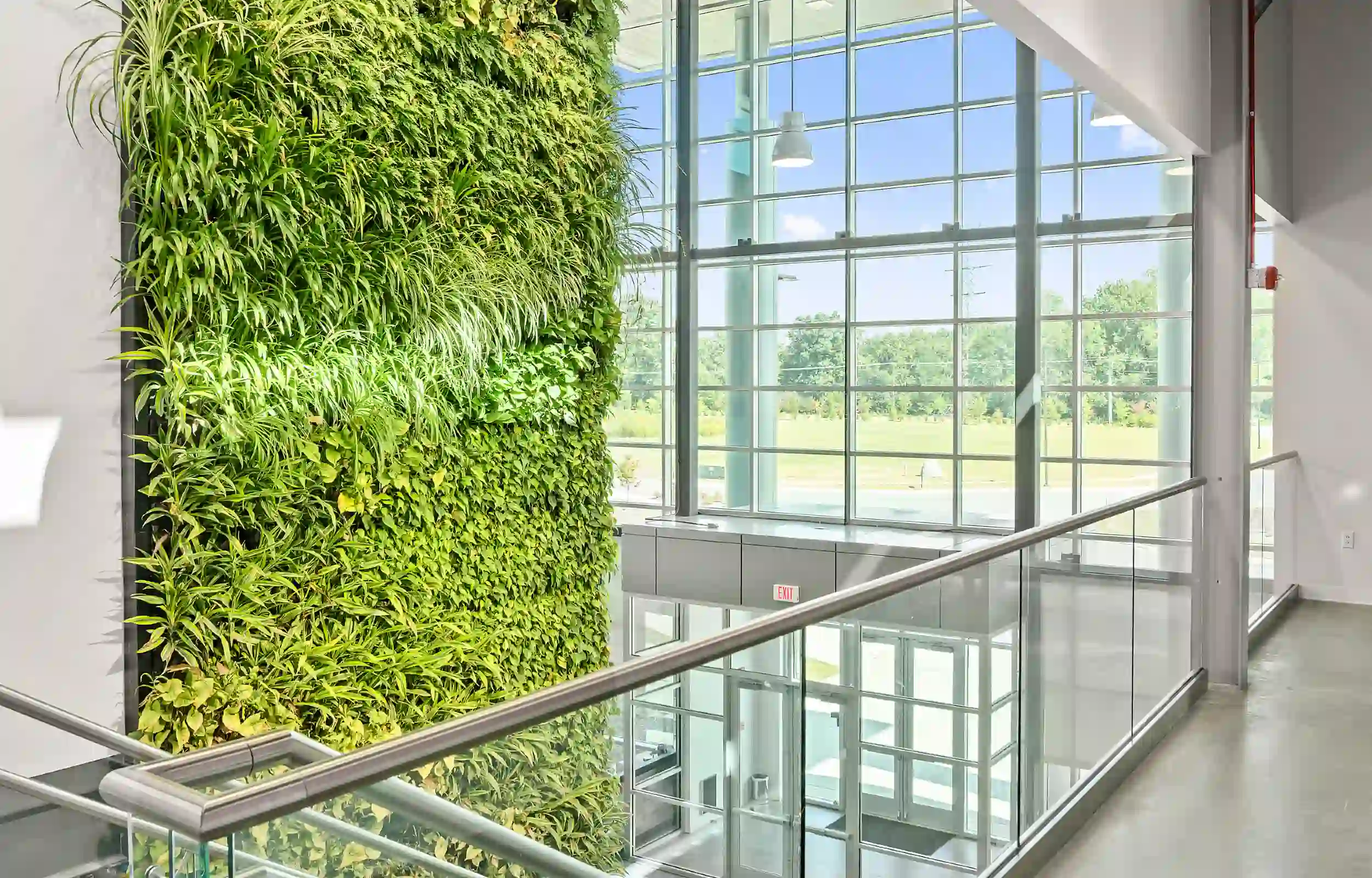 Biophilie et architecture en verre