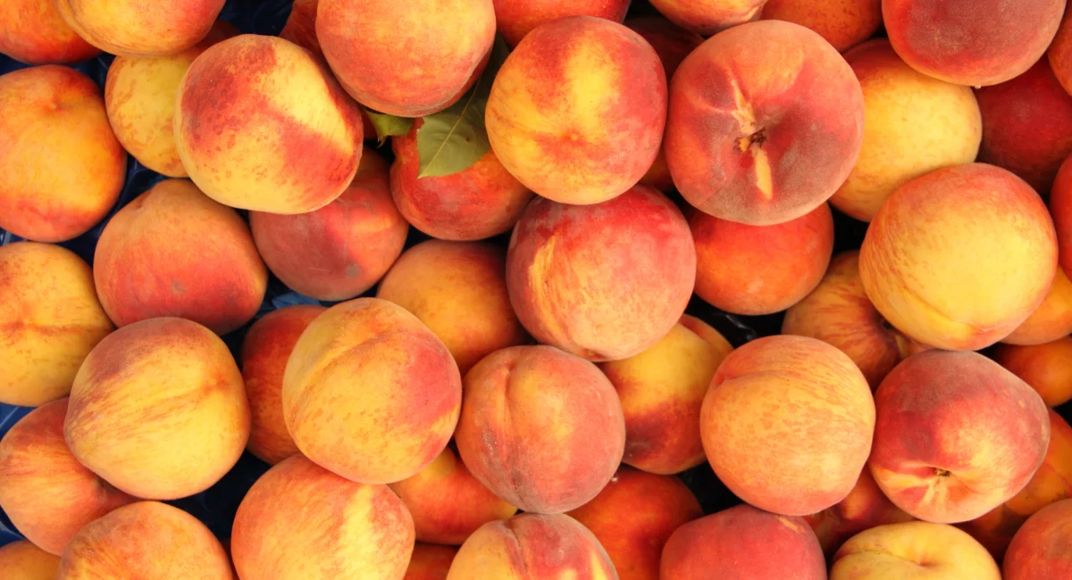 Les produits de l'été : la pèche