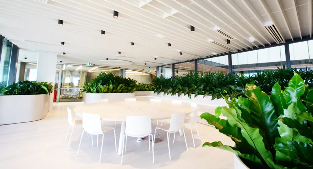 tendance plantes au bureau